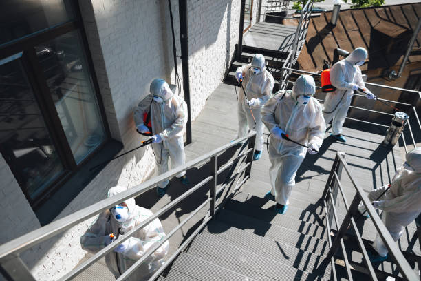 Mold Remediation for Rental Properties in Rio Linda, CA