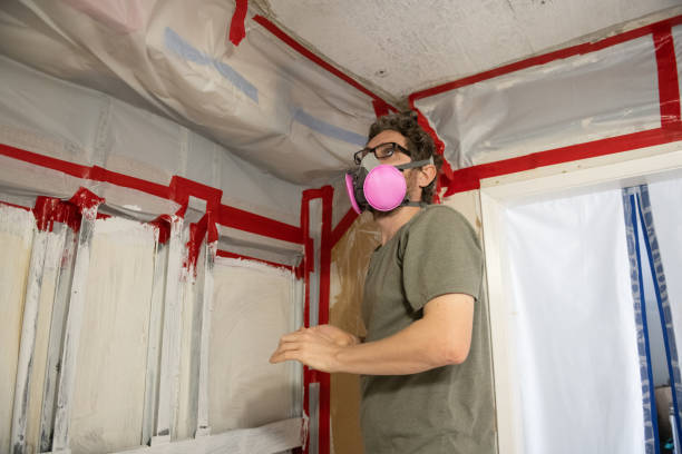 Best Residential Mold Inspection & Testing  in Rio Linda, CA