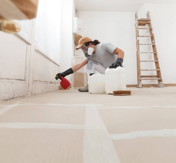 Best Commercial Mold Inspection  in Rio Linda, CA